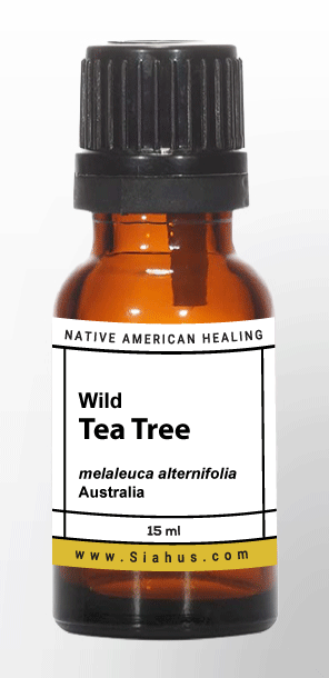 Wild Tea Tree Essential Oil